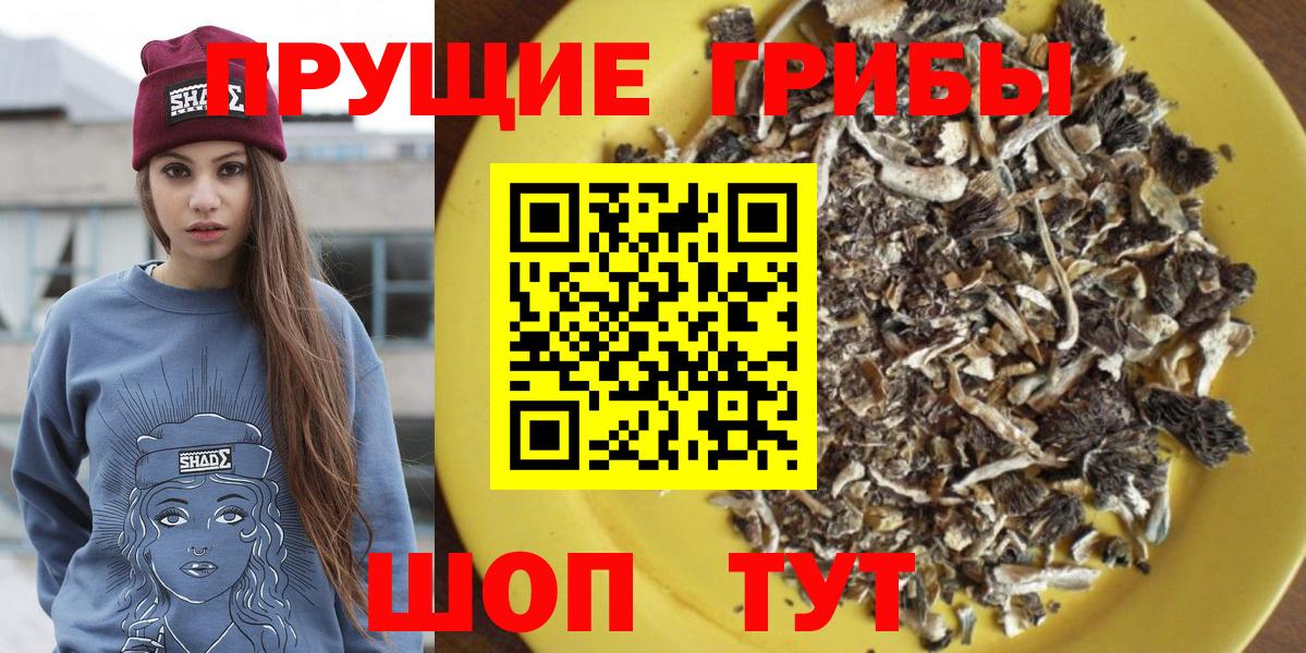 Галлюциногенные грибы прущие грибы  Вход с VPN  Городец 